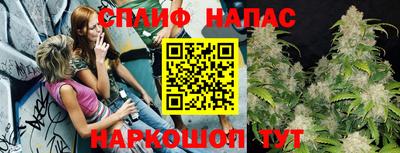 СК Будённовск