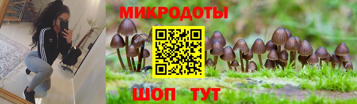 Псилоцибиновые грибы MAGIC MUSHROOMS  Вход с VPN  продажа наркотиков  Лосино-Петровский 