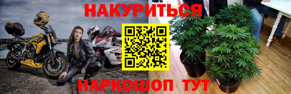 Конопля THC 21%  Вход с VPN  Конопля гибрид  Лосино-Петровский 